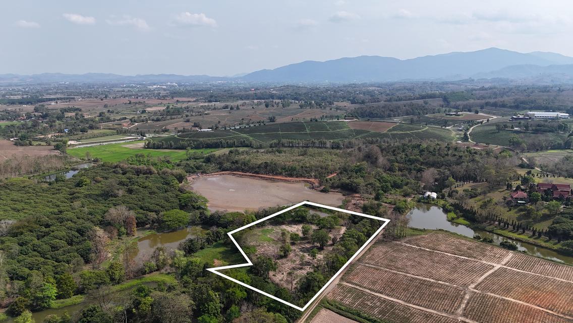 ประกาศขายที่ดิน ทำเลศักยภาพ ใกล้ไร่ชาฉุยฟง ตำบลศรีค้ำ อำเภอแม่จัน จังหวัดเชียงราย 57110 5