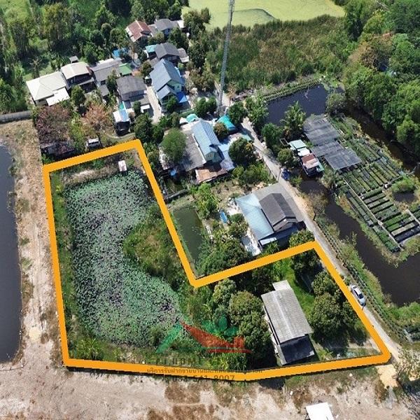 ขายที่ดินพร้อมบ้านและบ่อบัว ขนาด1-1-66ไร่ ซ.วัดเวฬุวนาราม18 ราคาพร้อมคุย 3