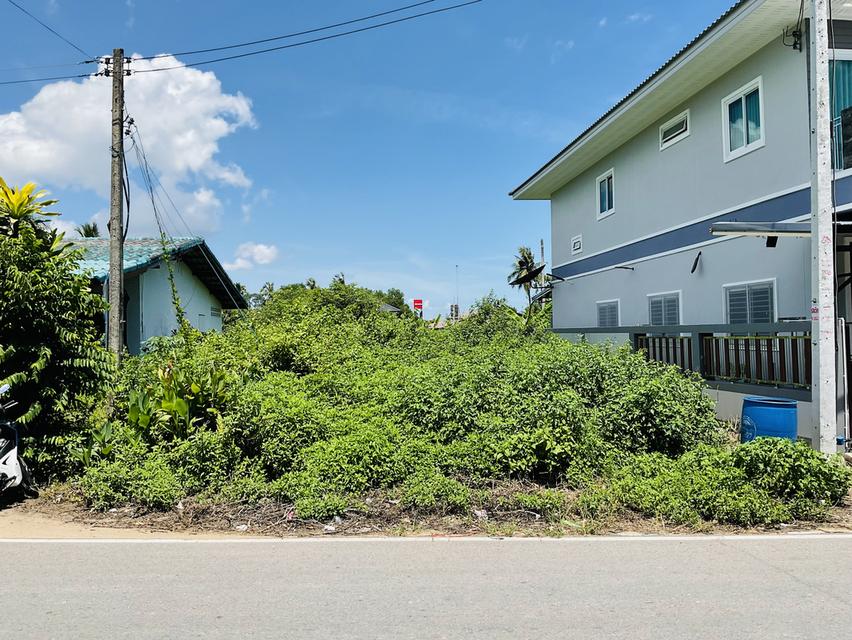 ที่ดิน 49 ตารางวา สิงหนคร ใกล้ท่าแพขนานยนต์ 1