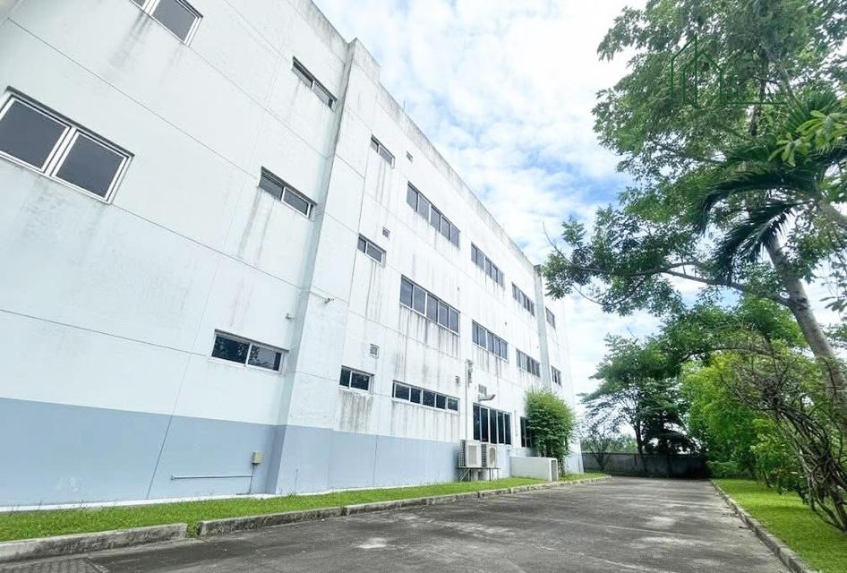 โรงงานอุตสาหกรรม 4 ไร่ 90 ตร.ว ลาดกระบัง พื้นที่สี่ม่วง 14