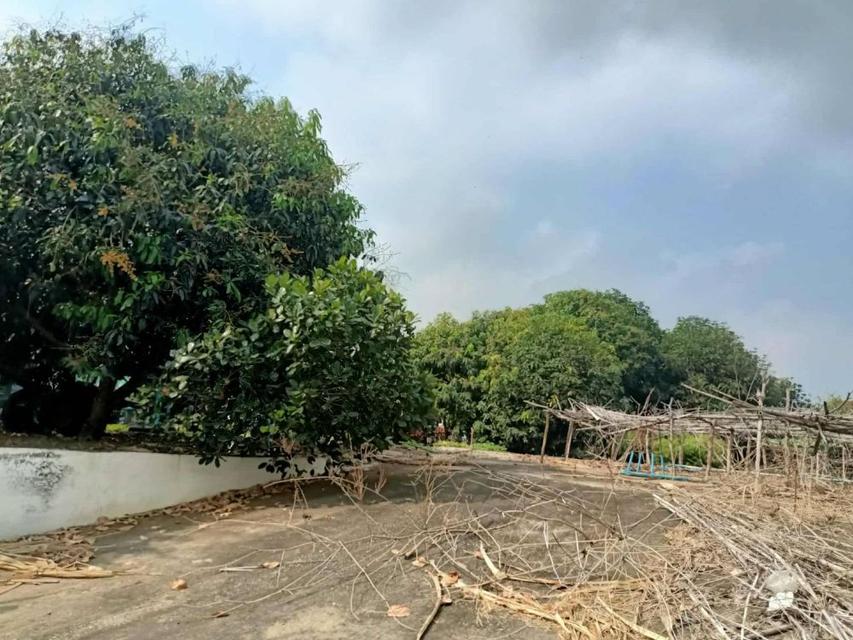 ขายที่ดินสวยถมแล้ว 209 ตรว. พร้อมโฉนด ทำเลดี เดินทางสะดวก บ้านท้ายลาด ลพบุรี ( เจ้าของขายเอง ) 8