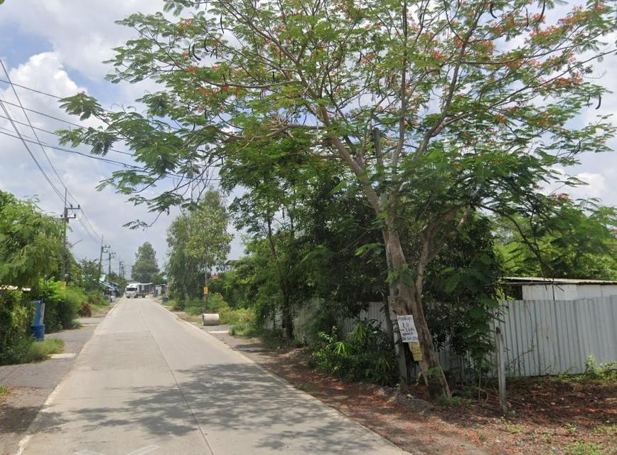 ขายที่ดินคลองห้าถมแล้ว 200 ตรว. ซอยโรงเรียนทีปังกรวิทยาพัฒน์ ใกล้ถนนเส้น3010-300เมตร อ.คลองหลวง ปทุมธานี