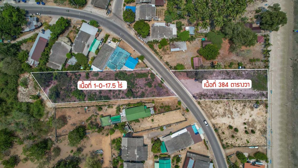 ขายที่ดินติดทะเลประจวบฯ หน้ากว้าง 24 ม. 384 ตร.ว. 35 ล้าน โฉนดครุฑแดง เหมาะทำพูลวิลล่า/คาเฟ่ ใกล้ตลาด/รพ. ซื้อคู่ลดได้ รับ Co-agent 5