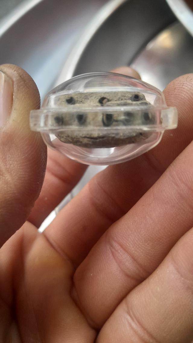 หลวงปู่ทวด อาจารย์นองตะกรุด๙ดอก