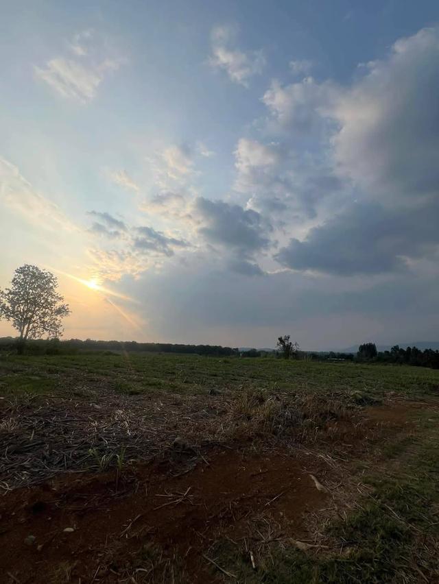 ขายที่คลองม่วง ปากช่อง แปลงใหญ่ 101 ไร่ ที่เนินสูงมองเห็นวิวเขายายเที่ยง ดินน้ำอุดมสมบูรณ์ ใกล้ถนนใหญ่ 3060 Tayama Farm 0879074045 8