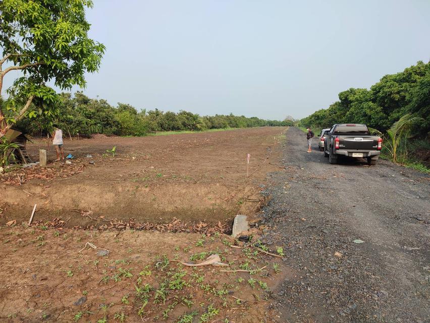 ขายที่ดินต.สันทรายอ.สารภีจ.เชียงใหม่ 100ตรว. 10