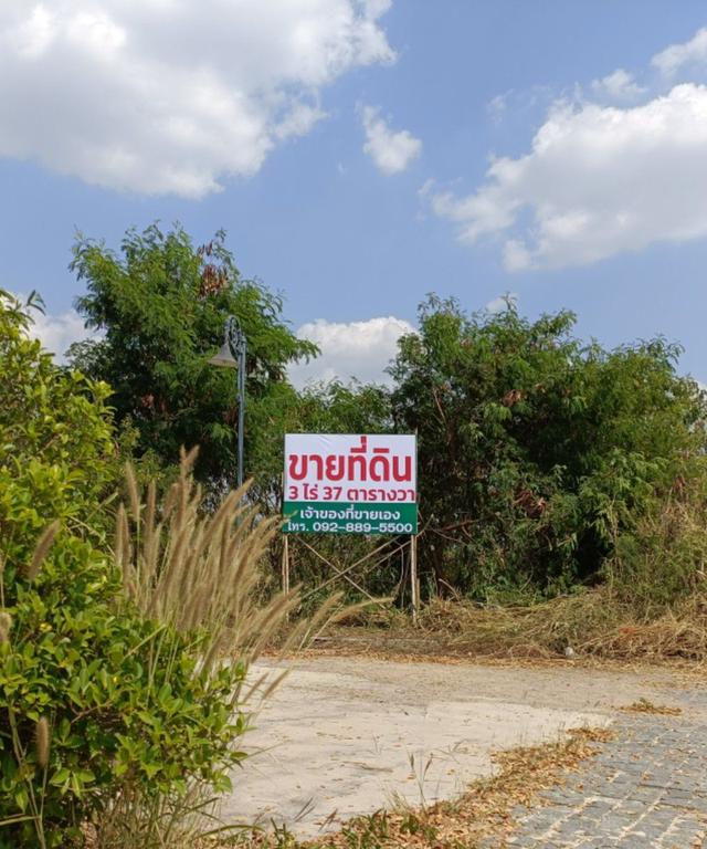 ขายที่ดินเปล่า ไม่มีสิ่งปลูกสร้าง ตั้งอยู่ในโครงการ ณุศามายโอโซน 2