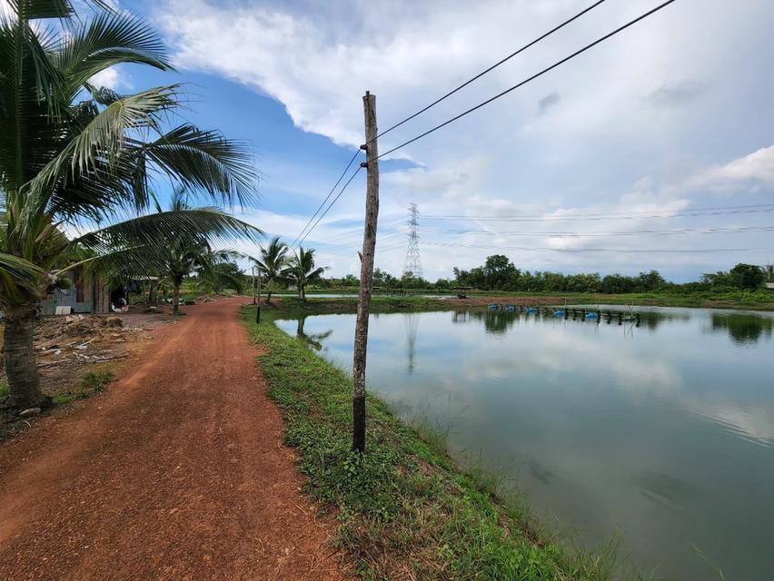 ที่ดิน บางคล้า ฉะเชิงเทรา  2