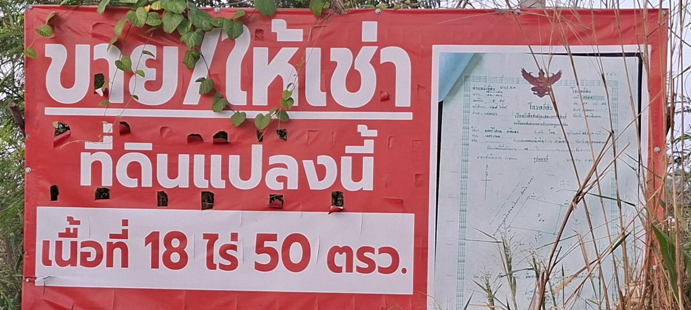 ที่ดิน18ไร่50ตารางวา ทำเลดีติดถนนใหญ่ สาย331 จ.ฉะเชิงเทรา ใกล้นิคมอุตสาหกรรมเกตุเวย์ซิตี้ สนใจติดต่อ 0949192266👍 1