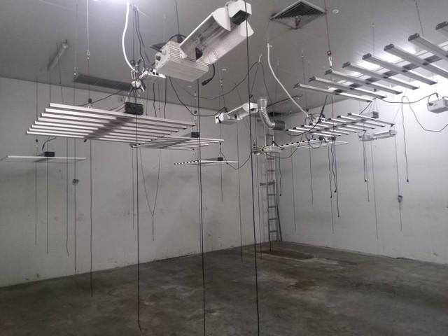 เช่าและขายโกดังห้องเย็น ติดถนนสายหลัก เชียงใหม่–หางดง ตำบลน้ำแพร่ อำเภอหางดง จังหวัดเชียงใหม่ 5