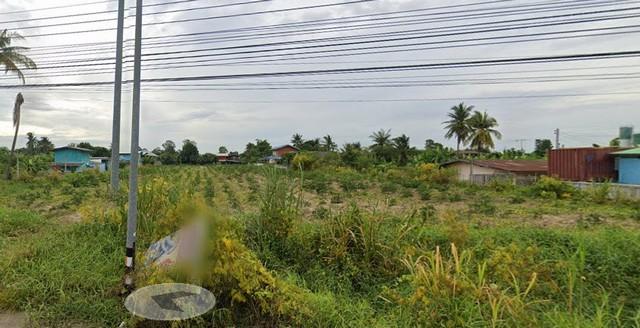 ขายด่วน พื้นที่ดิน ที่ดินถมแล้ว ติดถนนทางหลวงหมายเลข 1182 (4 เลน) จ.นครสวรรค์ 41 ตร.วา 0 งาน 3 Rai 15515000 BAHT ใกล้ แม