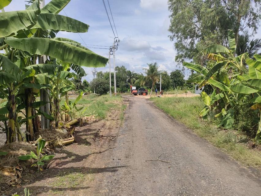 ขายที่ดินเปล่าในถนนร่วมพัฒนา เขตหนองจอก กรุงเทพมหานคร 15