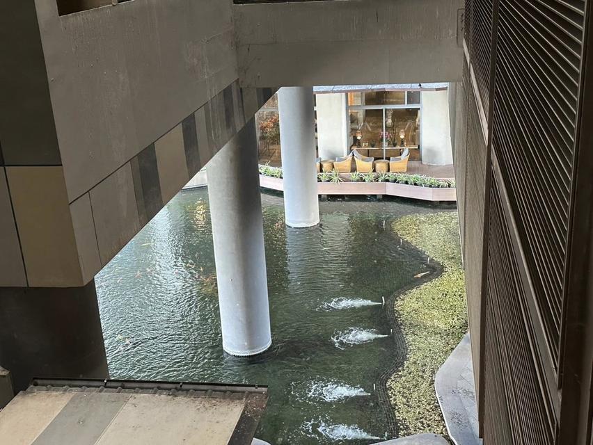 The Pano พระราม 3 ห้องโซน River Front ชั้น 3 ที่ให้ความรู้สึกเหมือนอยู่บ้านริมน้ำ ด้วยวิวพาโนรามาของแม่น้ำเจ้าพระยา 8