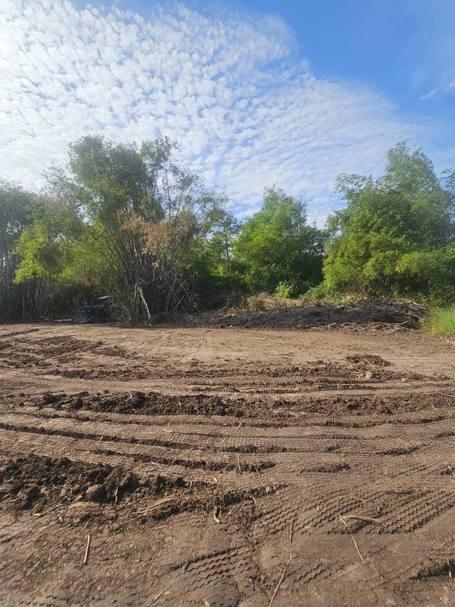 ขายที่ดิน บ้านสร้างจ.ปราจีนบุรี 2