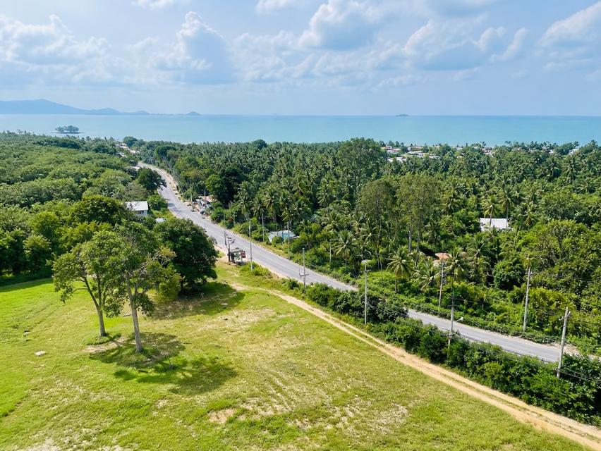 ที่ดินบนเนินเขาอำเภอเกาะที่ดินบนเนินเขาอำเภอเกาะสมุย 1