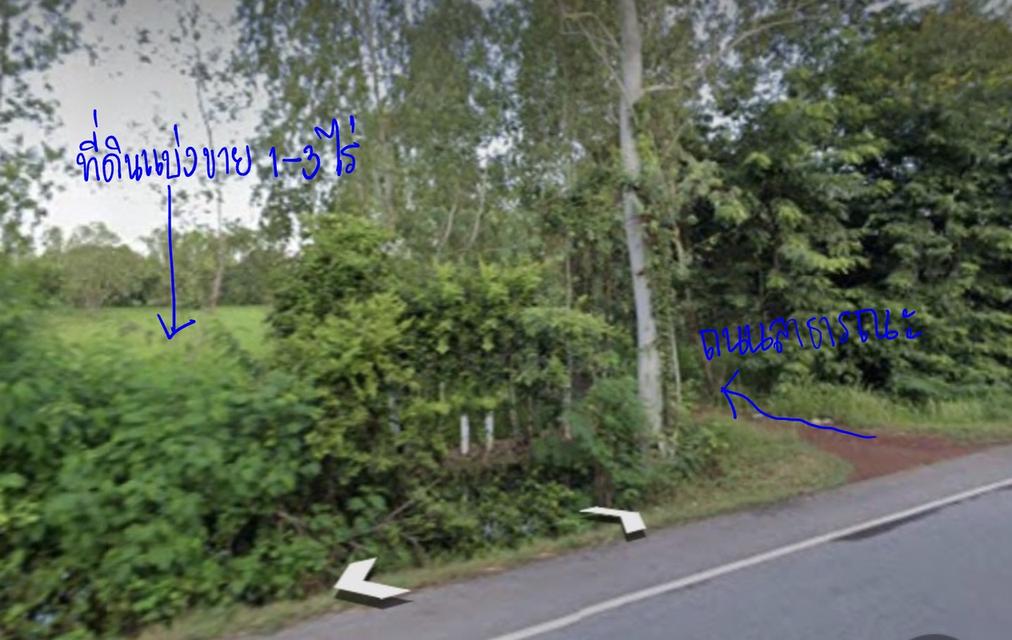 แบ่งขายที่ดิน 1 ไร่ ติดถนนลาดยาง อ.เมืองสกลนคร 2