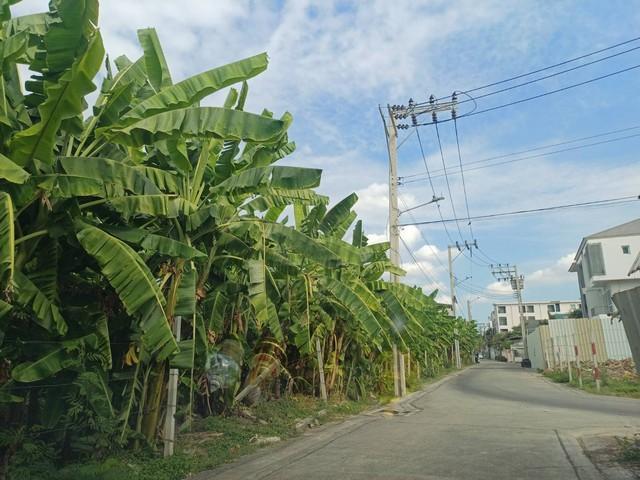 ให้เช่าที่ดินเปล่า 416 ตร.ว. (1 ไร่) ถมแล้ว ซอยนาคนิวาส 21 ถนนกว้าง น้ำไม่ท่วม 5