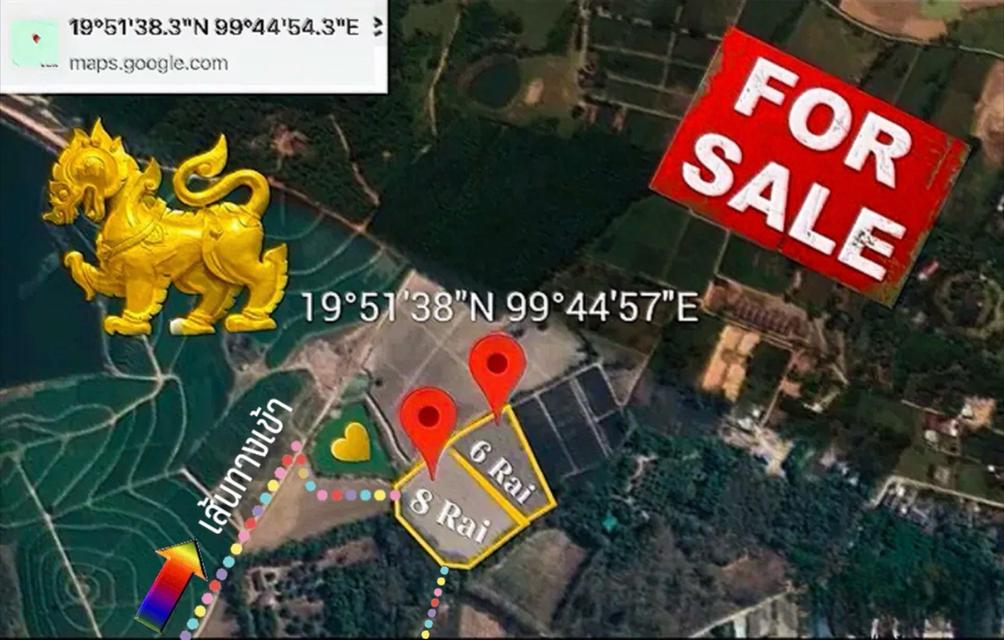 ที่ดินพรีเมี่ยม 14 ไร่ เชียงราย ขายเหมา (สิงห์ปาร์ค) น้ำไม่ท่วม 2