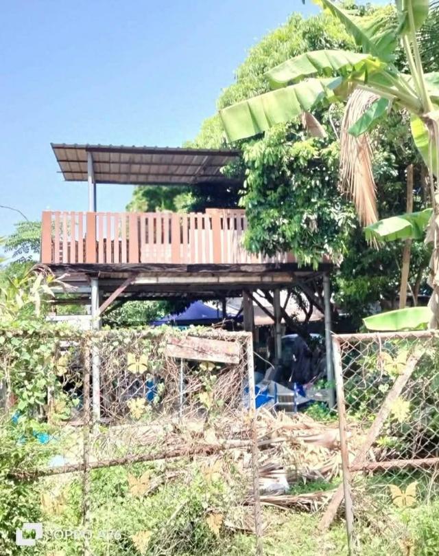 ขายที่ดินผืนเล็ก แม่แตง เชียงใหม่ 3