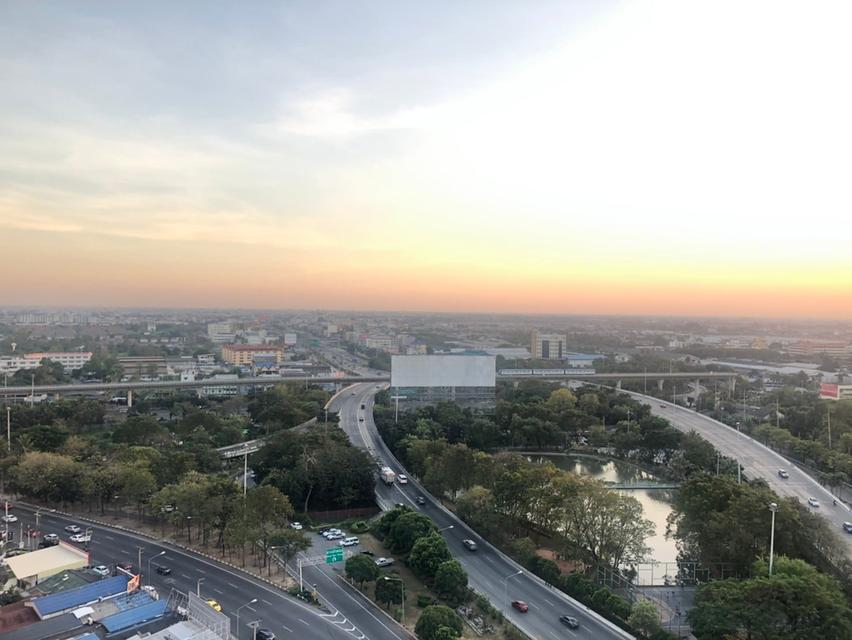 ขาย The President Phetkasem - Bangkhae (เดอะ เพรสซิเดนท์ เพชรเกษม - บางแค) 10