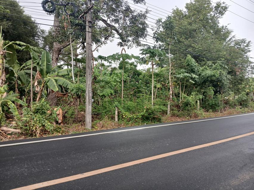 ทีดินพ้รอมสิ่งปลูกสร้าง 5
