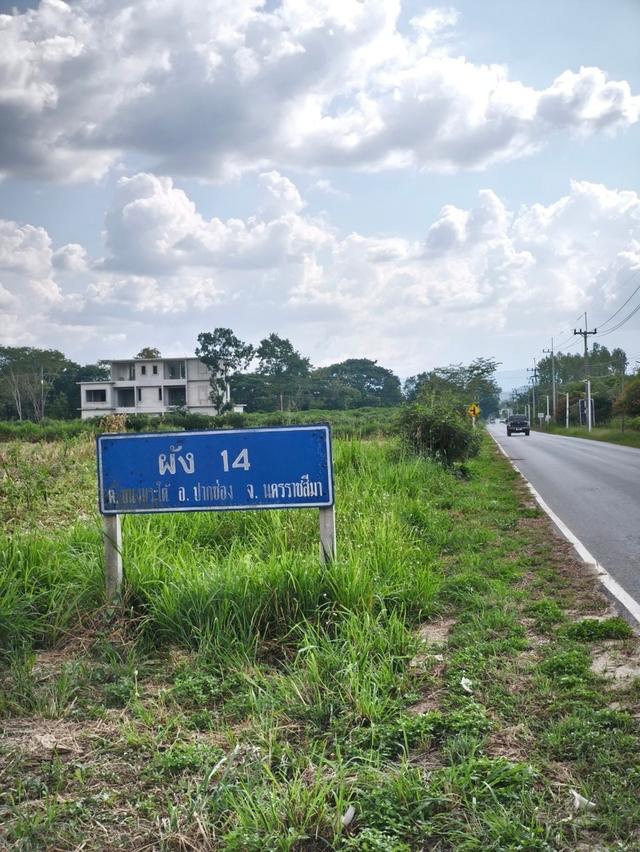 ขายที่ดินปากช่อง ขนงพระใต้ 9