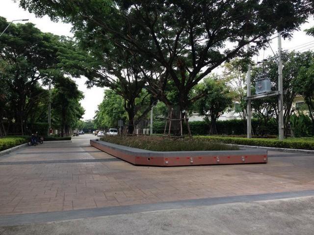 PB5617 ขายบ้านเดี่ยว โครงการ เศรษฐสิริ บางนา กม.7 บ้านหันทิศใต้  12