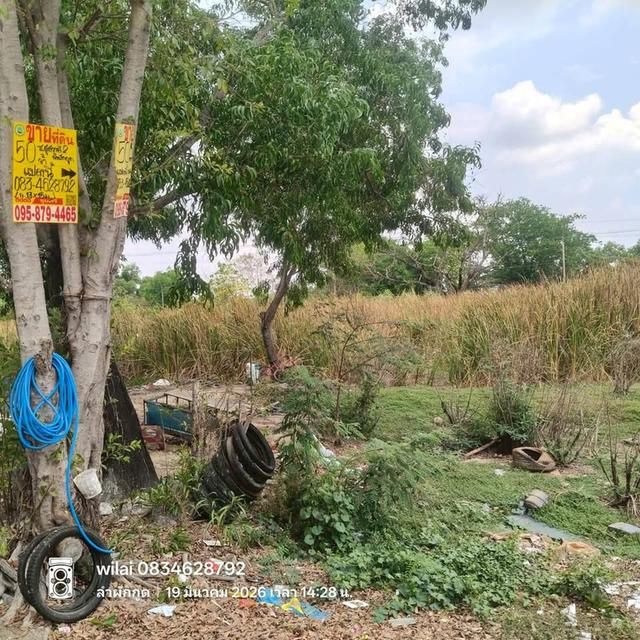 Vายที่ดิน 50 ตารางวา ใกล้โลตัส รังสิต คลอง7 ติดถนนคอนกรีต รังสิต-นครนายก ค.8 ชุมชนสุสวาส 2 ธัญบุรี ปทุมธานี 1