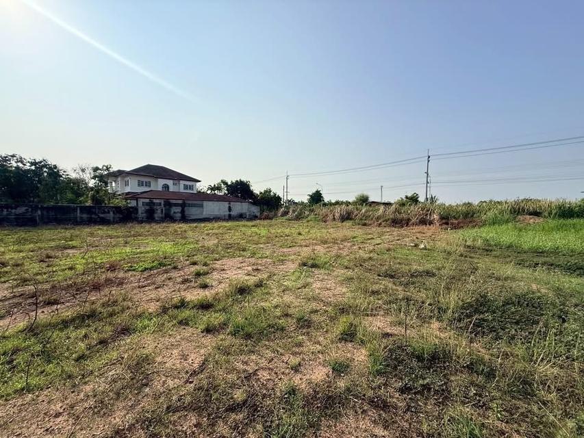 ขายด่วนที่ดิน 400 ตารางวา ติดถนนสาธารณะ คลองถนน บางใหญ่ นนทบุรี 2