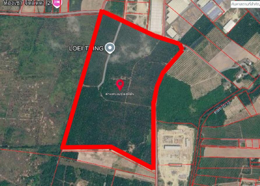 ขายที่ดิน 194ไร่3งาน62ตารางวา กว้าง6เมตร2ด้าน 📍ที่ตั้งอยู่ ต.หนองไผ่แก้ว อ.บ้านบึง จ.ชลบุรี 1
