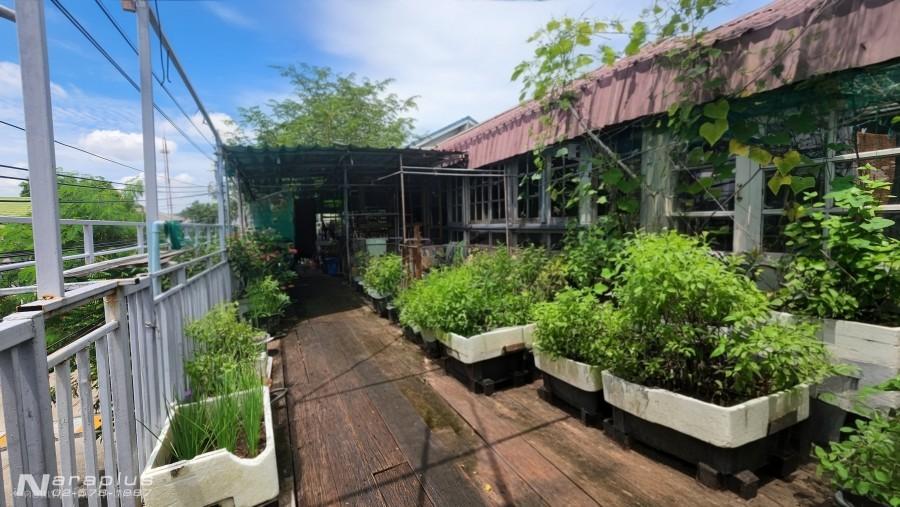 68121188 : ขายบ้านเดี่ยว 2 ชั้น พร้อมสวนลอยฟ้า สามารถทำธุรกิจร้านอาหารได้ ขนาด 75  ตารางวา  หมู่บ้าน สีวลี 9