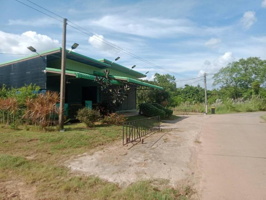 ที่ดินติดแม่น้ำปราจีนฯ พร้อมรีสอร์ท คาเฟ่ ร้านอาหาร เนื้อที่ 14 ไร่ 3