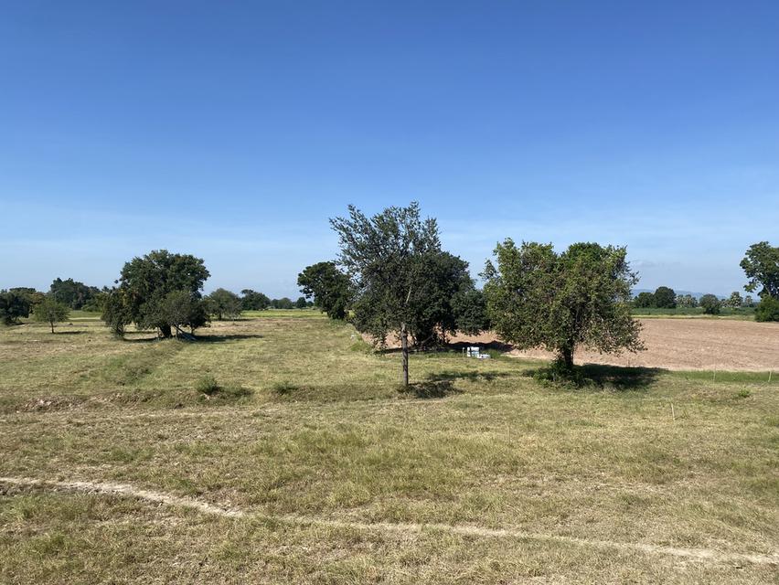 ที่ดินเปล่า จังหวัดกาญจนบุรี 8