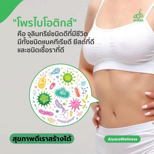 โพรไบโอติกส์ 7-Active Syntech สมดุลลำไส้ ขับถ่ายดี ไฟเบอร์สูง การย่อยดี รูปที่ 6