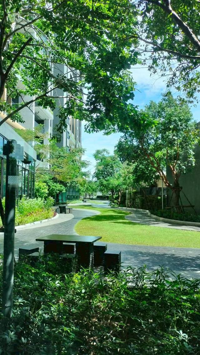 คอนโดนิชโมโนสุขุมวิทแบริ่ง 5