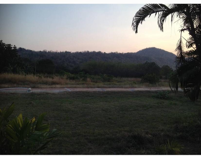 Land for sale 37 rai, located in U Thong, Suphan Buri 1