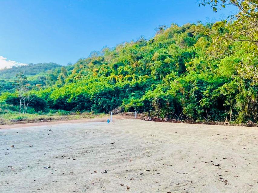 ขายที่ดินปากช่อง ใกล้เขาใหญ่ ที่ดินติดภูเขา วิวภูเขาชัดเจน ตำบลขนงพระ ปากช่อง นครราชสีมา 5