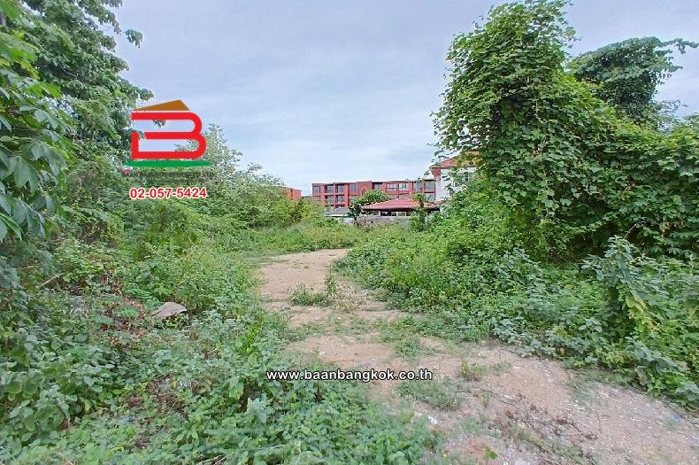 ที่ดินเปล่า ซอยหัวหิน 25 เนื้อที่ 146 ตร.ว (ใกล้ท่าอากาศยานหัวหิน) ตำบลหัวหิน อำเภอหัวหิน จังหวัดประจวบคีรีขันธ์ 5