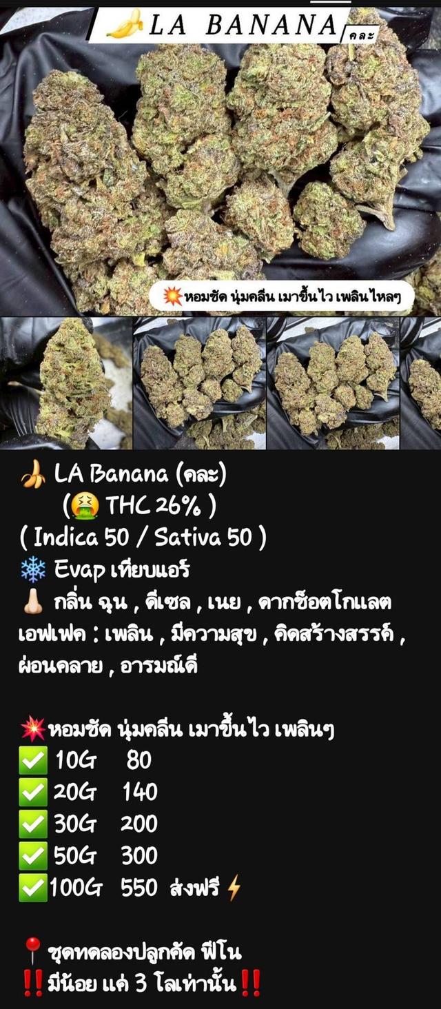 กัญๆ📲💯 17