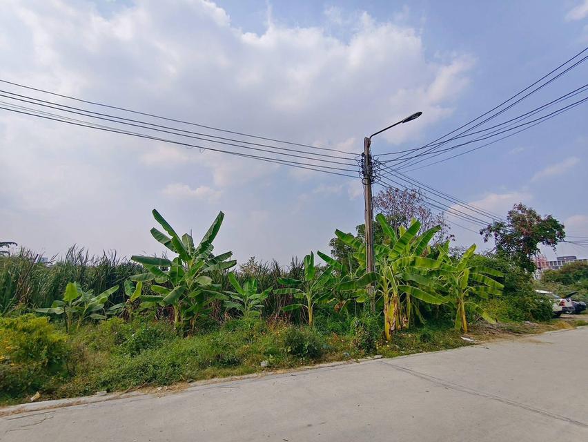 ขายด่วนที่ดินใกล้โรบินสัน ศรีสมาน 200 ตรว ติดถนน3ด้าน ซ.ศรีสมาน 5 บ้านใหม่ ปากเกร็ด 1