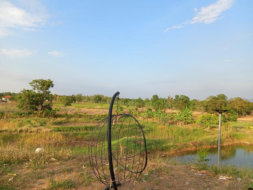 ขายด่วนที่ดินเปล่า21ไร่ ราคา3.9ล้าน ทำเลดีสวยบรรยากาศดีเหมาะทำฟาร์มรีสอร์ท อ.บ้านแท่น จ.ชัยภูมิ สนใจ0844255956 12