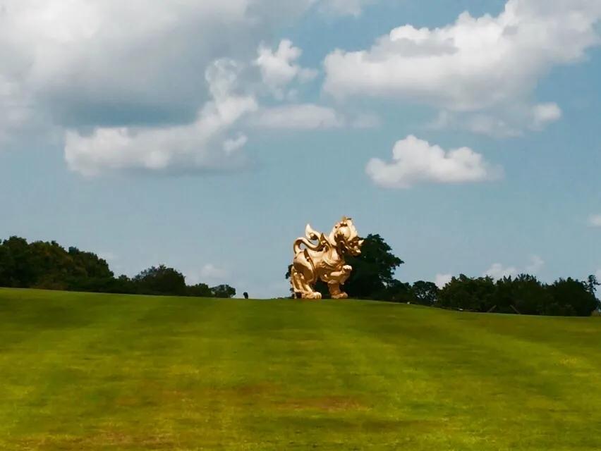 ที่ดินพรีเมี่ยม 14 ไร่เชียงราย (สิงห์ปาร์ค) 8