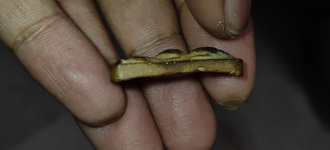 พระผงสุพรรณ หลวงพ่อดี ปี13 สีพิกุล รูปที่ 4