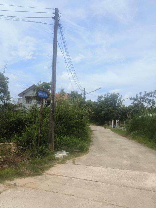 ที่ดิน พร้อมบ้านสวน ใจกลางเมือง ชุมชนไม่แออัด เงียบสงบ 3