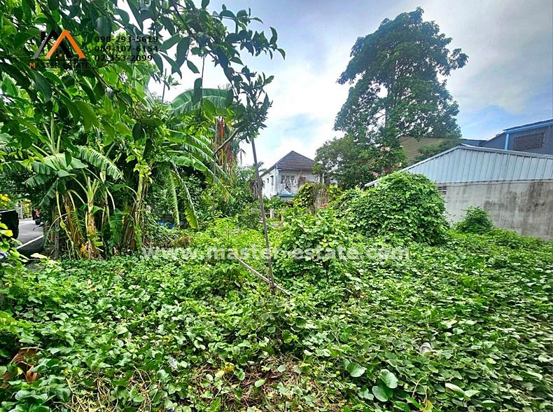 ที่ดินเปล่า 195.6 ตร.ว. แปลงมุม สวยมาก ติดถนนไทรบุรี จ.สงขลา หน้ากว้างประมาณ 20 M. x ลึก 45 M. ปัจจุบันมีผู้เช่าที่ดินขายอาหาร 4
