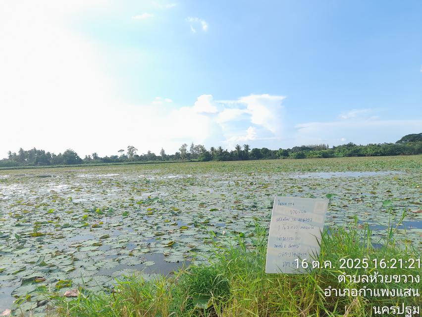 บ้านสวยหน้าอยู่ ทำเลดี 3