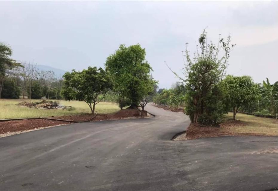 ขายที่ดินวิวอุทยานแห่งชาติเขาใหญ่ 1-2 ไร่ อ.หมูสี ปากช่อง บ้านเลือดไทย เหมาะทำบ้านพัก รีสอร์ท ใกล้ถนน เขาใหญ่-วังน้ำเขียว 3052 เพียง 900ม.