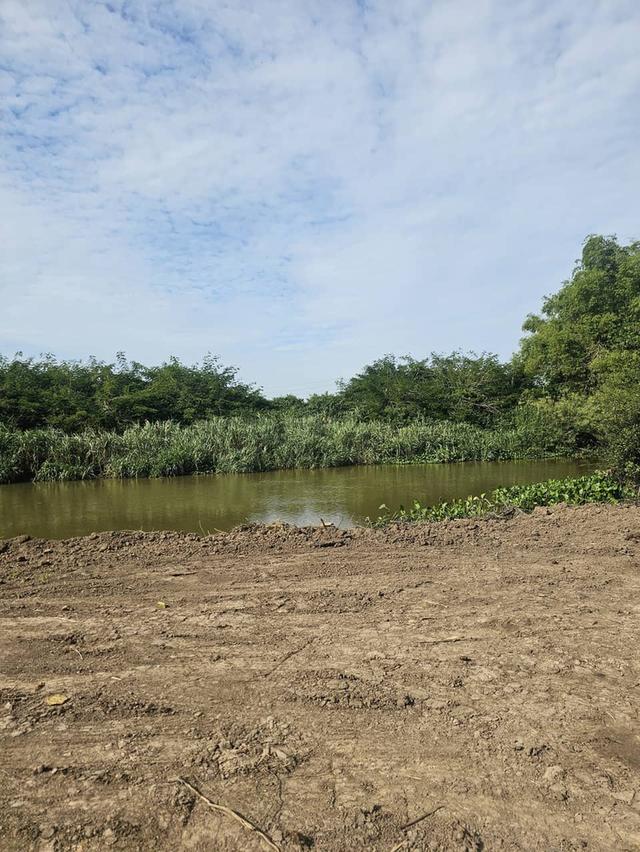 ขายที่ดิน บ้านสร้างจ.ปราจีนบุรี 1