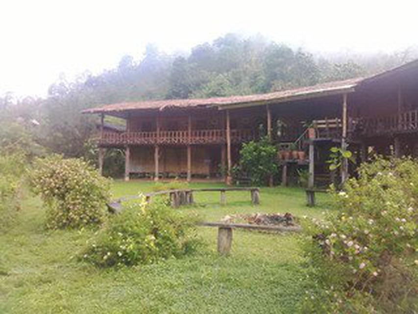 Lease Home Stay on the Hill Top Mountain  5