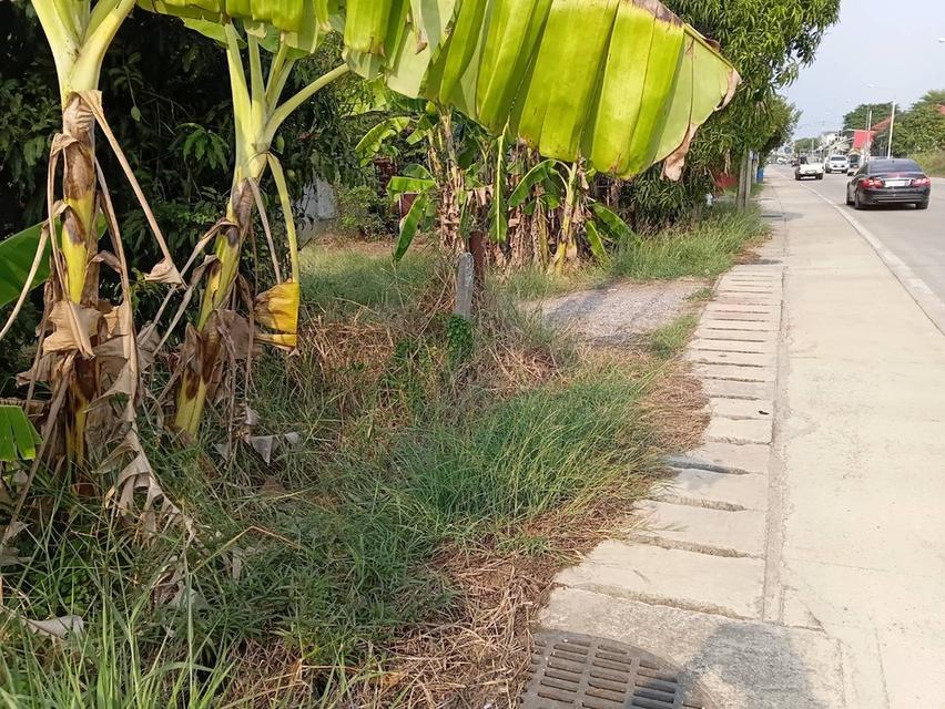 ขายที่ดิน จังหวัดนนทบุรี บางกรวย ติดถนนหลัก ซอยวัดพระเงิน 5